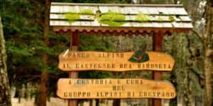 Castagner dea madoneta