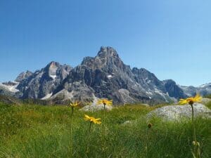D 1368 cimon della pala