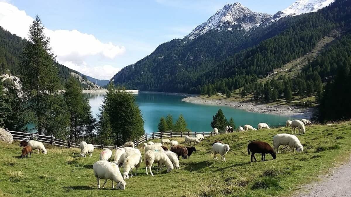 Lago Gioveretto