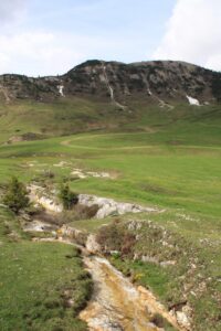 Verso Monte specie