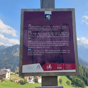 alta via dell'orso libro