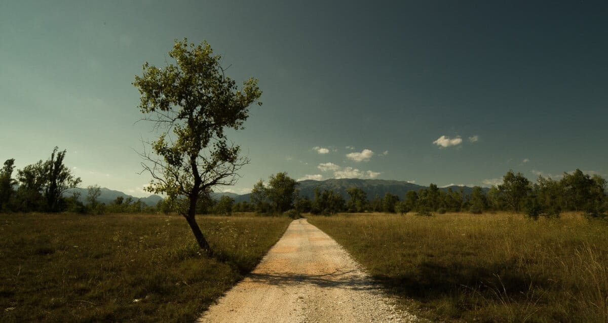 le grave del pave foto 1