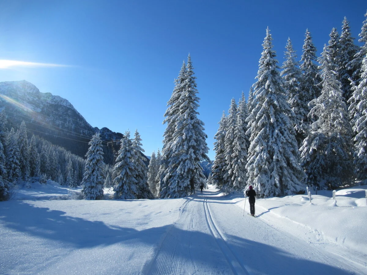 Passo S Pellegrino