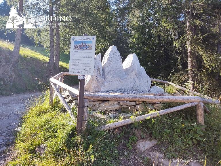 IMG 20200820 171544186 01 copy 768x576