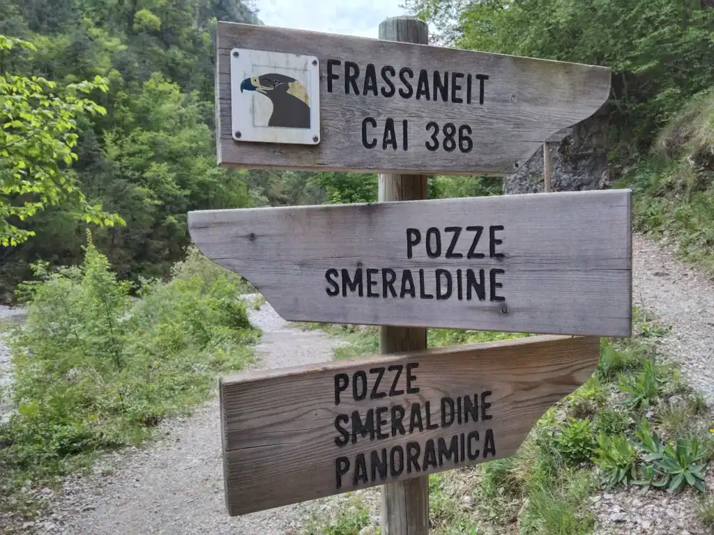 IMG 20210601 125414 1024x768