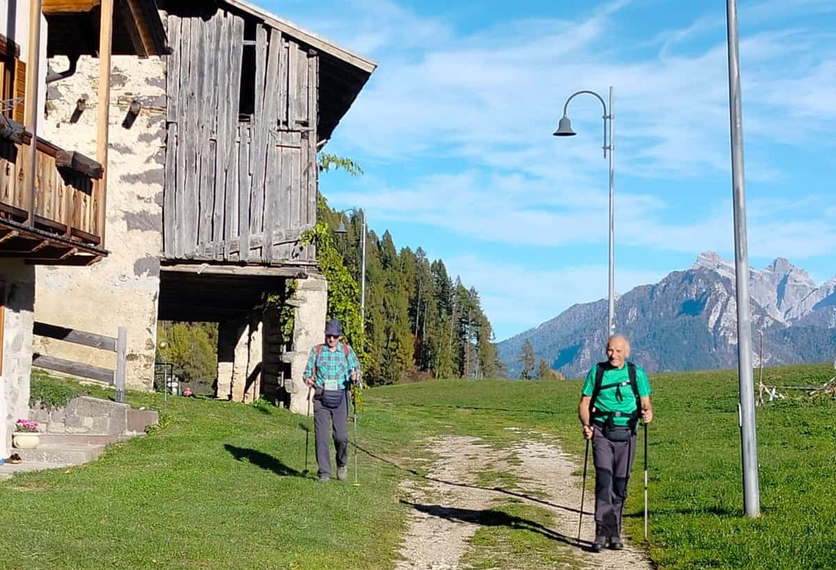 Immagine WhatsApp 2025 10 28 ore 17 49 44 78e39551