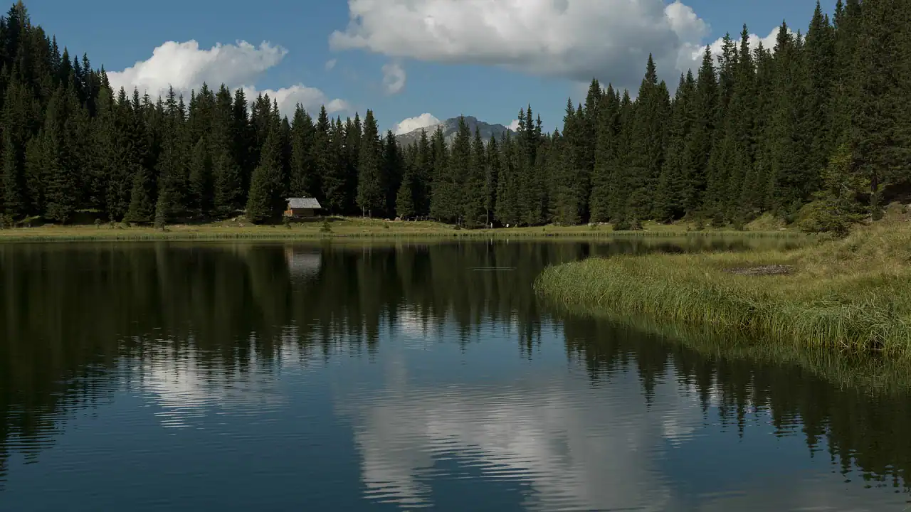 lago cece val di fiemme visitfiemme alberto campanile desktop webp