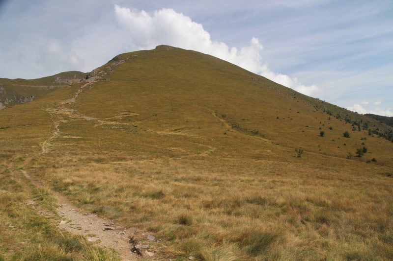 monte fravort gronlait 07