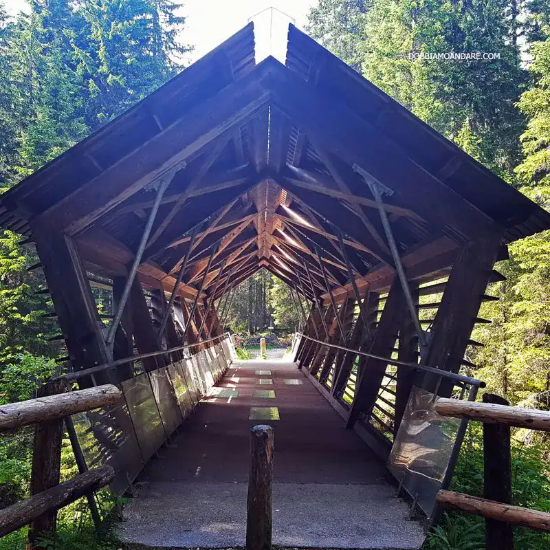 paneveggio ponte coperto