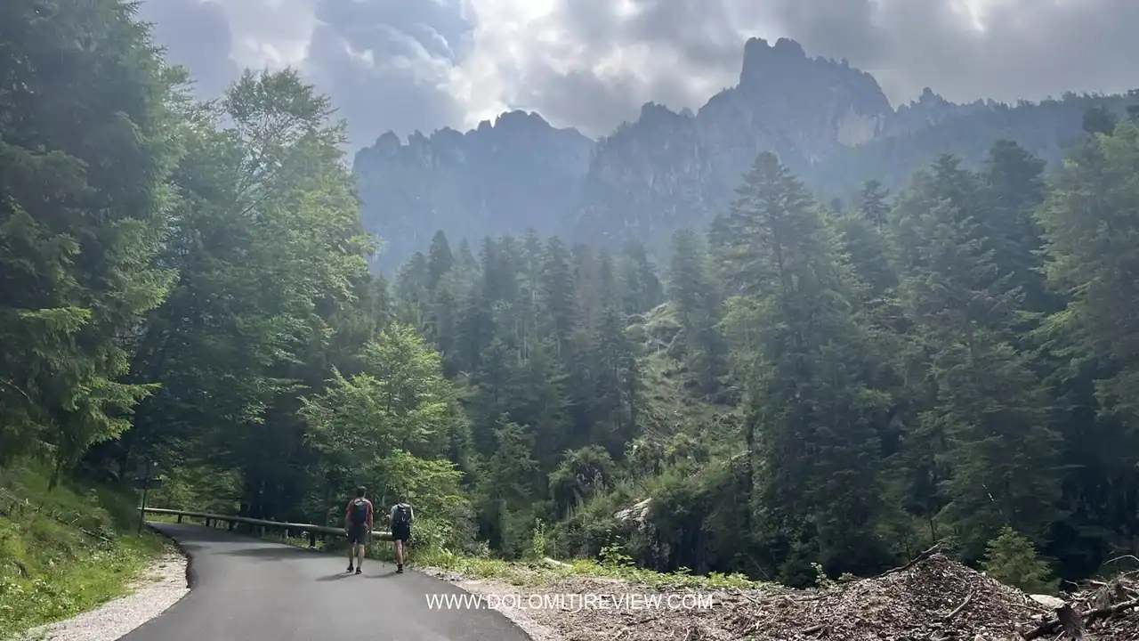 strada val canali verso malga canali wm